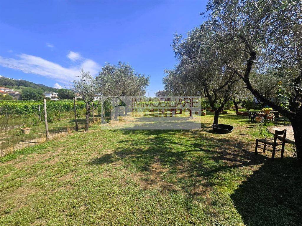 Appartamento a Castelnuovo magra - Foto 2