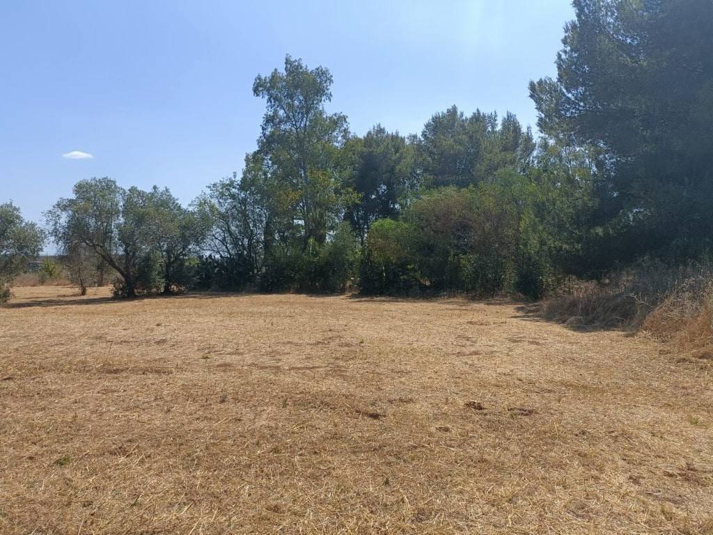 Terreno a Ruffano in C.da Cucco, snc - Foto 4