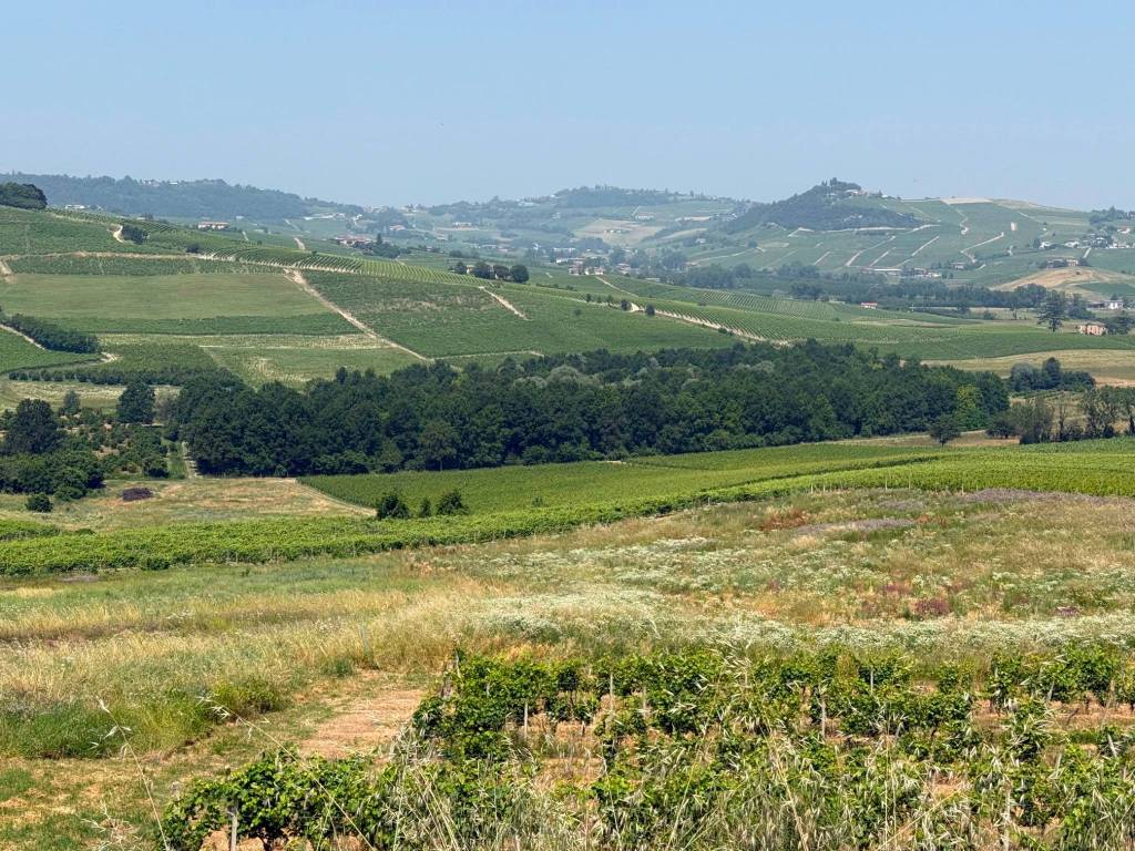 Terreno a Calosso in Calosso - Foto 2