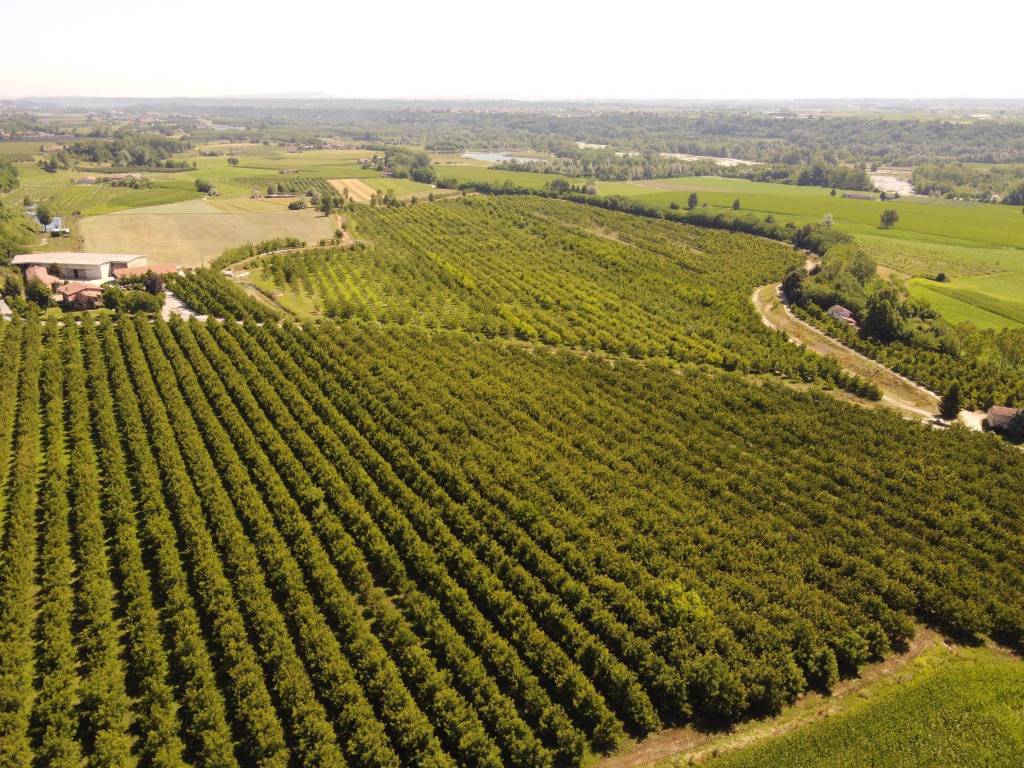 Terreno a Fossano in Strada Sant'Anna - Foto 4
