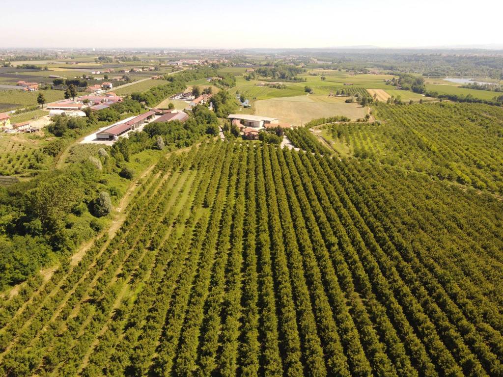 Terreno a Fossano in Strada Sant'Anna - Foto 5
