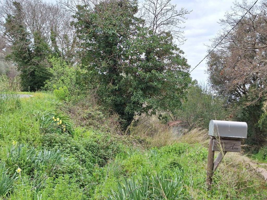 Terreno a Castiglione della pescaia in Strada Comunale Vetulonia-Cirilli - Foto 2