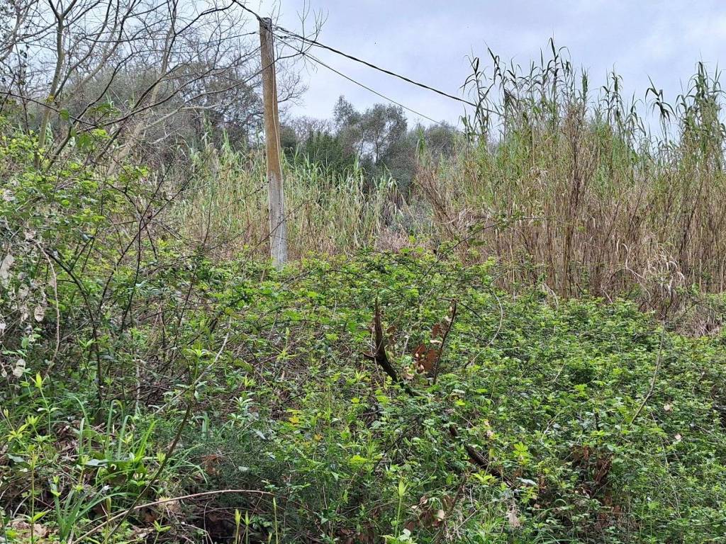 Terreno a Castiglione della pescaia in Strada Comunale Vetulonia-Cirilli - Foto 4