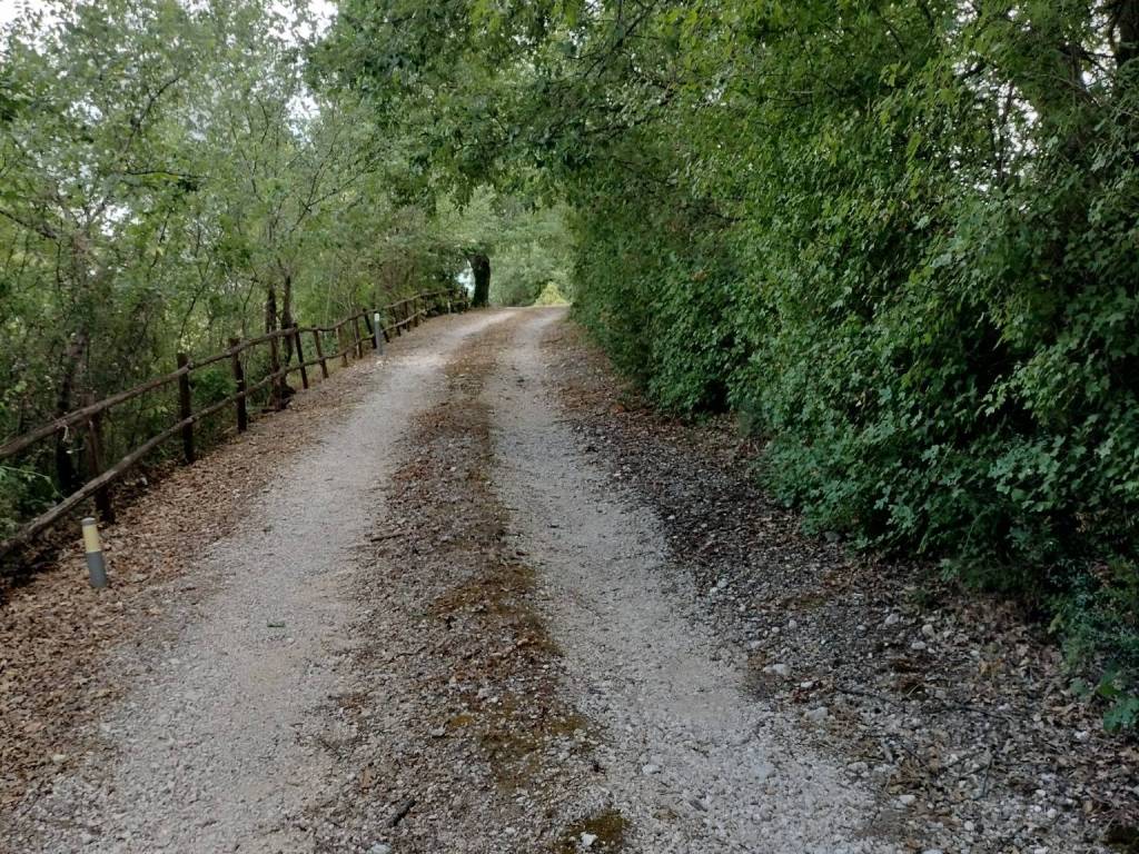 Rustico / casale a Manciano - Foto 2