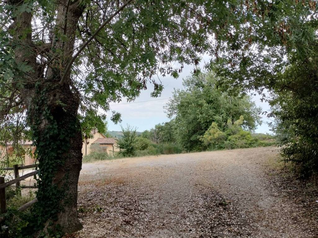 Rustico / casale a Manciano - Foto 3