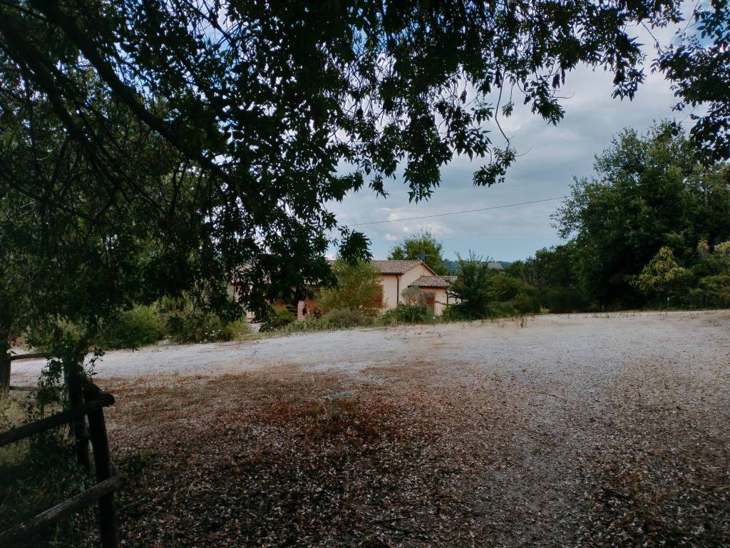 Rustico / casale a Manciano - Foto 4