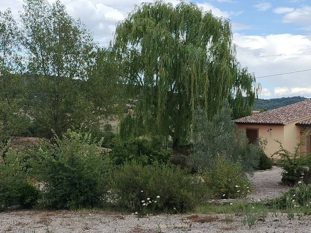 Rustico / casale a Manciano - Foto 5