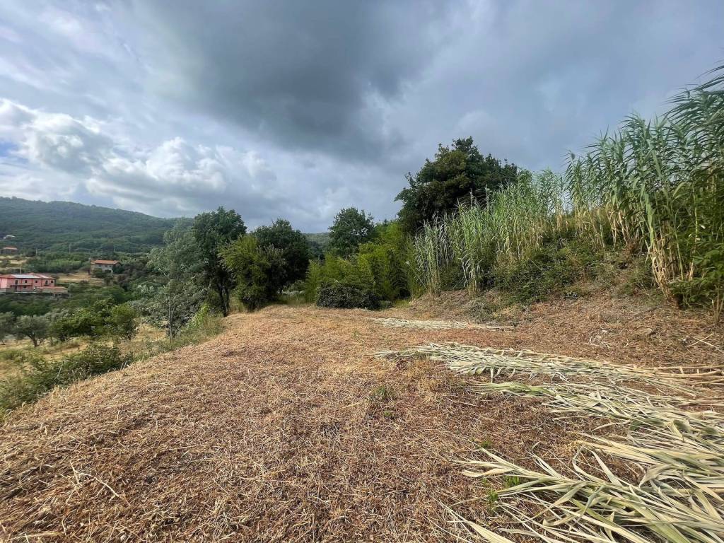 Rustico / casale a Sarzana in Via Dalano - Foto 5