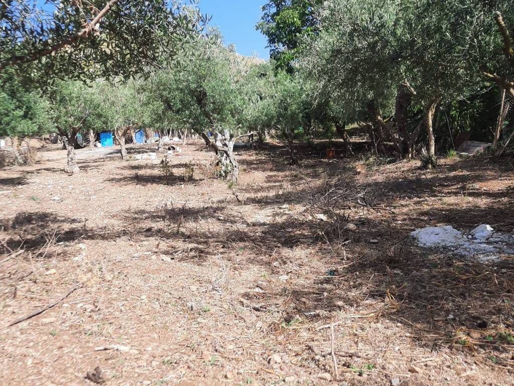Terreno a Altofonte - Foto 5