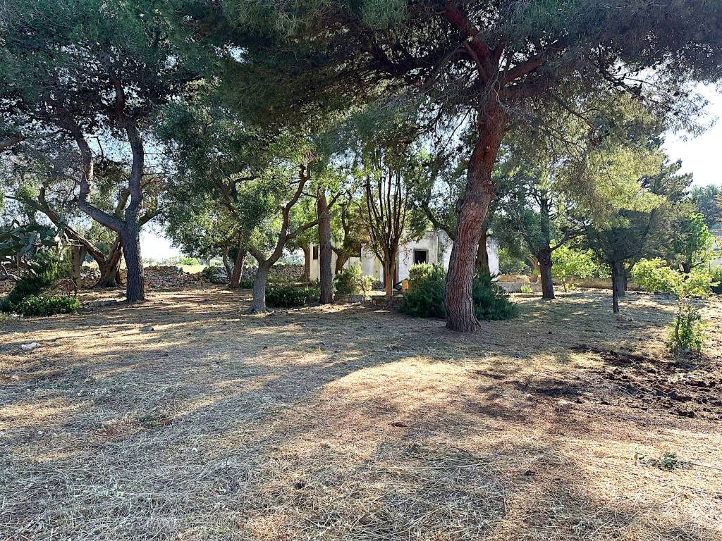 Rustico / casale a Carovigno in Contrada Catanzani - Foto 4