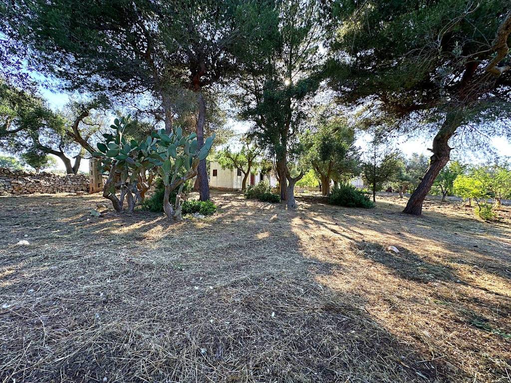 Rustico / casale a Carovigno in Contrada Catanzani - Foto 5