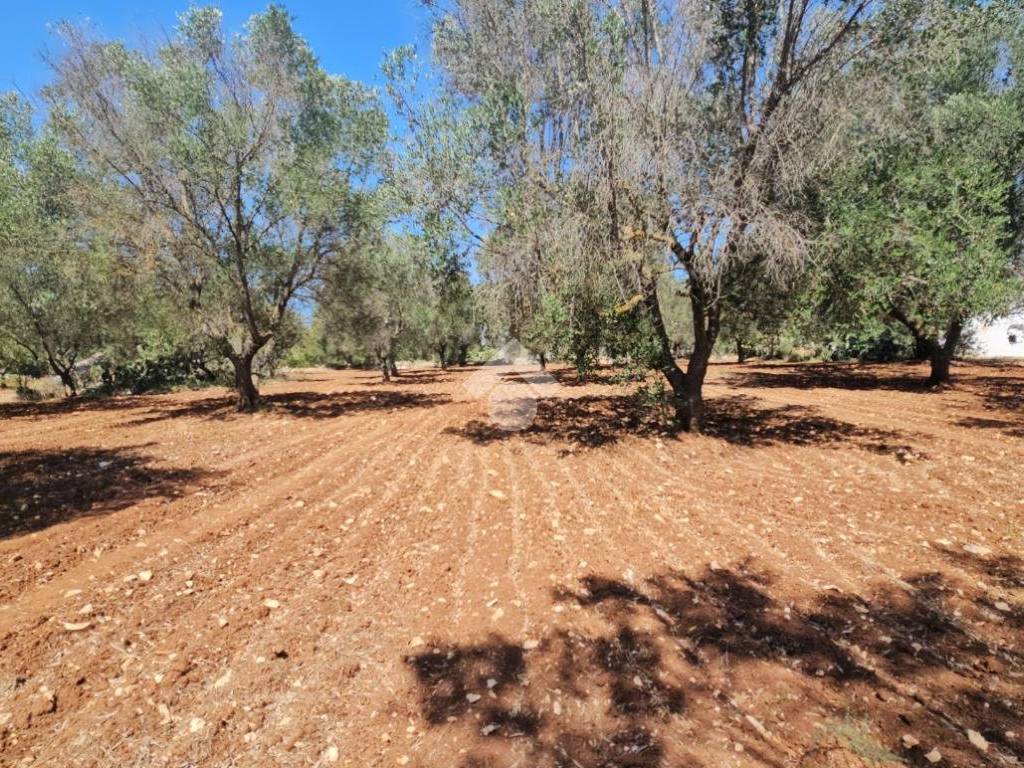Rustico / casale a Ceglie messapica in Contrada madonna piccola - Foto 2