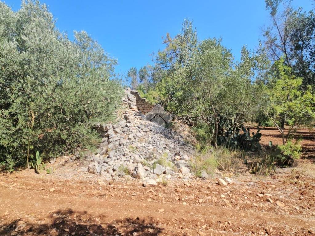 Rustico / casale a Ceglie messapica in Contrada madonna piccola - Foto 3