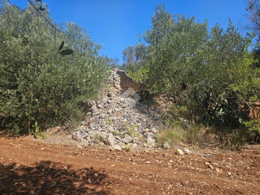 Rustico / casale a Ceglie messapica in Contrada madonna piccola - Foto 4