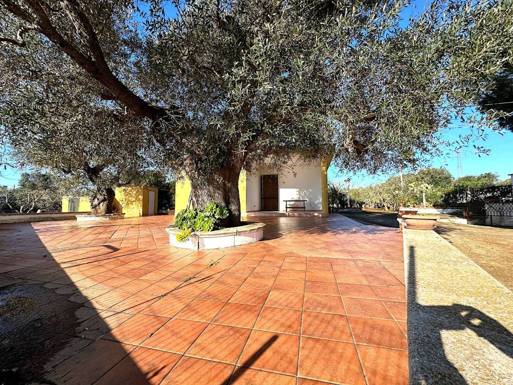 Villa a Carovigno in SP33 - Foto 5