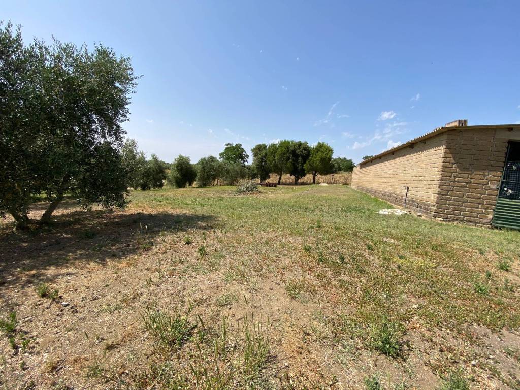 Appartamento a Magliano in toscana - Foto 4