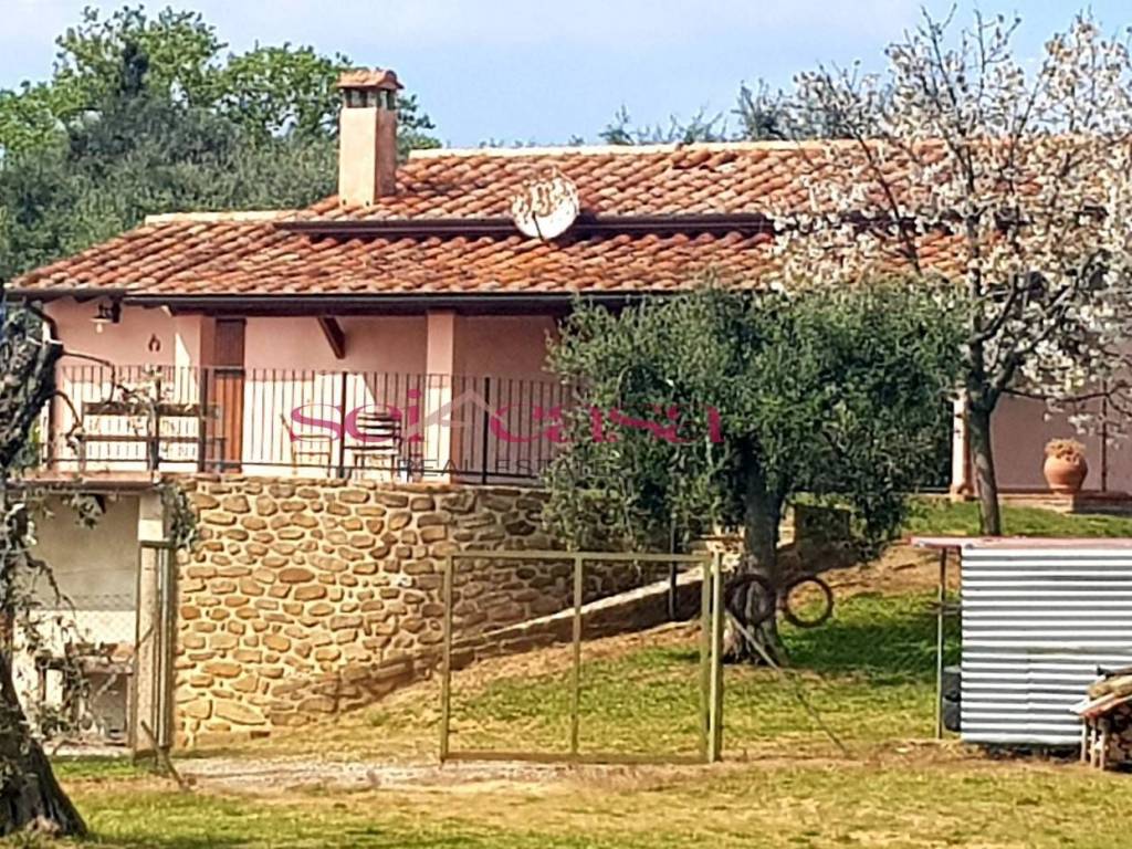 Rustico / casale a Magliano in toscana in MONTIANO - Foto 2