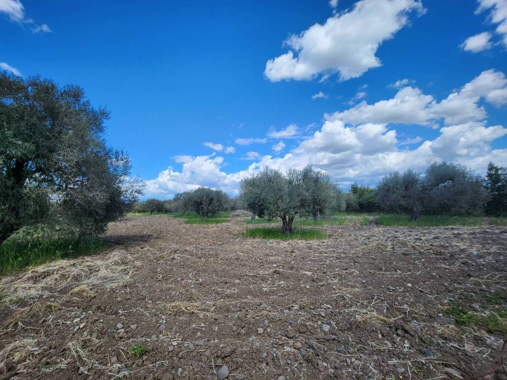 Terreno a San sperate - Foto 2