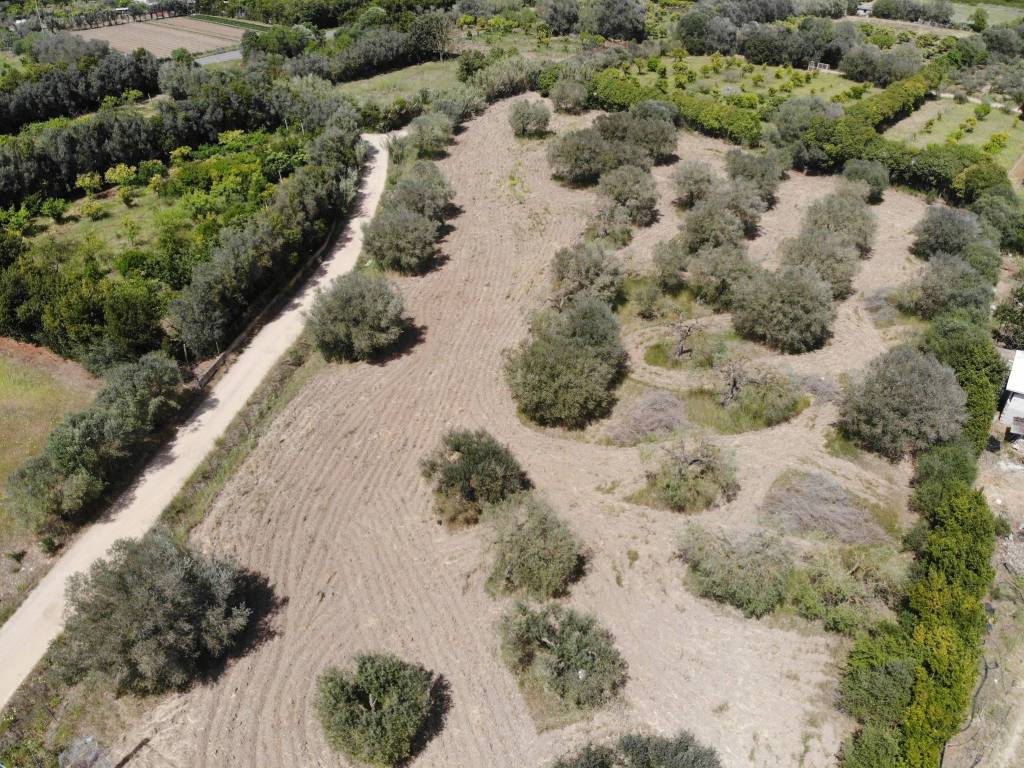 Terreno a San sperate - Foto 4