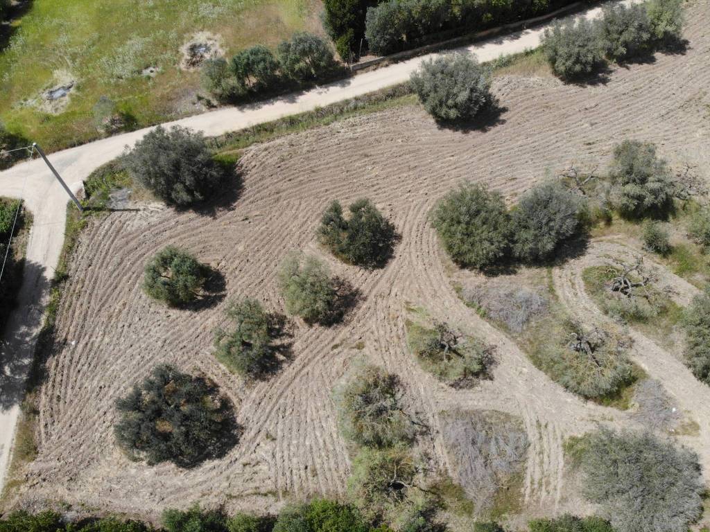 Terreno a San sperate - Foto 5