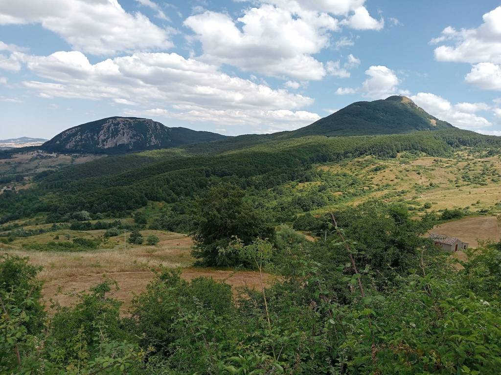 Terreno a San fele in Strada Provinciale ex Strada Statale 381 - Foto 2