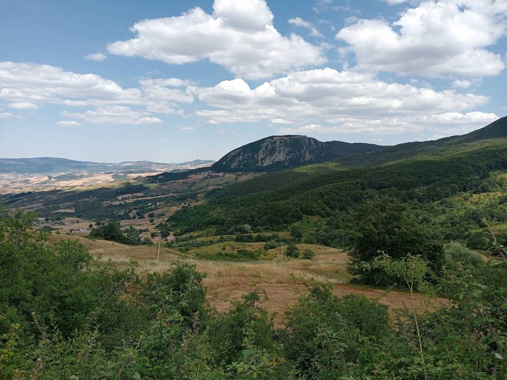 Terreno a San fele in Strada Provinciale ex Strada Statale 381 - Foto 3
