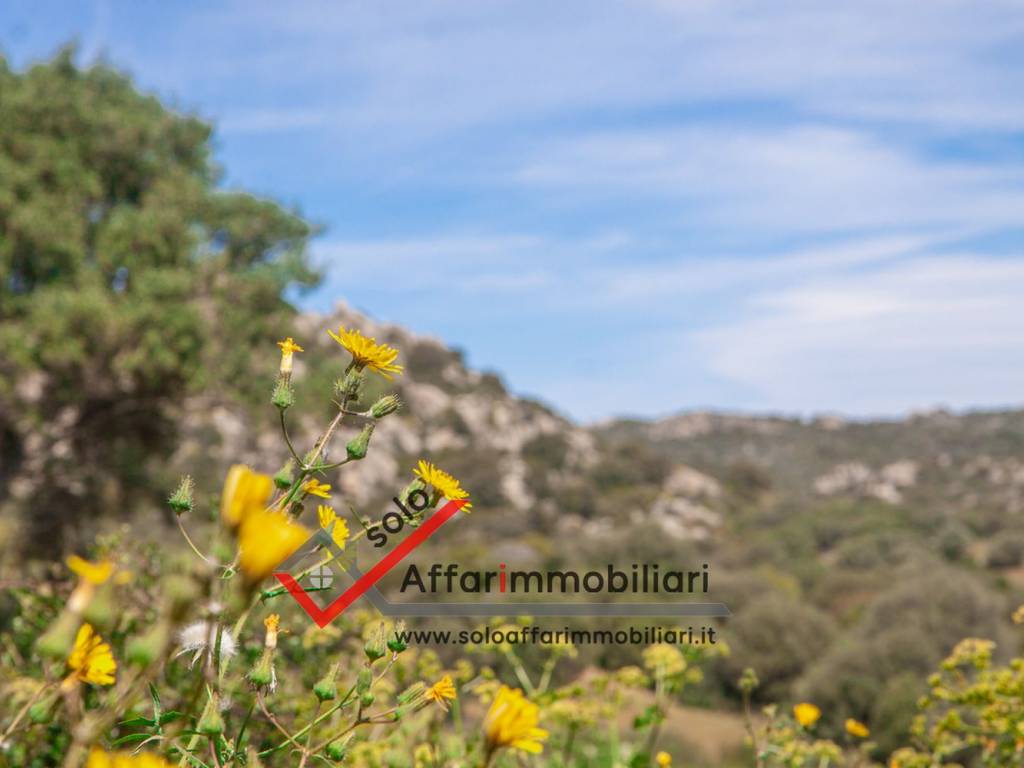 Terreno a Arzachena in SS427 - Foto 4