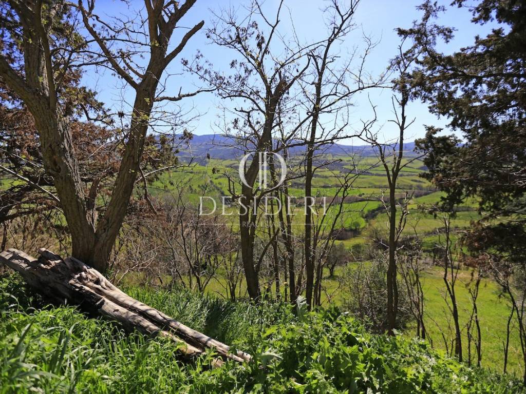 Immobile a Cinigiano in Podere Sanino , - Foto 5