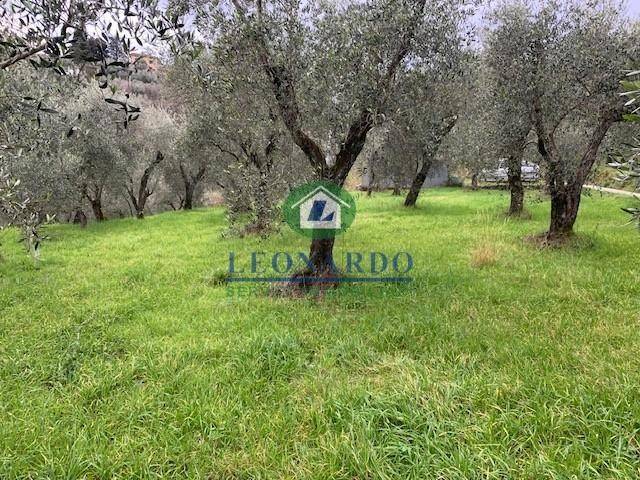 Terreno a Buggiano - Foto 2