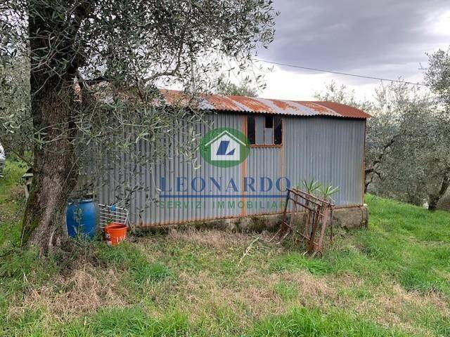 Terreno a Buggiano - Foto 4