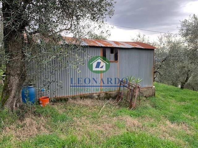 Terreno a Buggiano - Foto 5