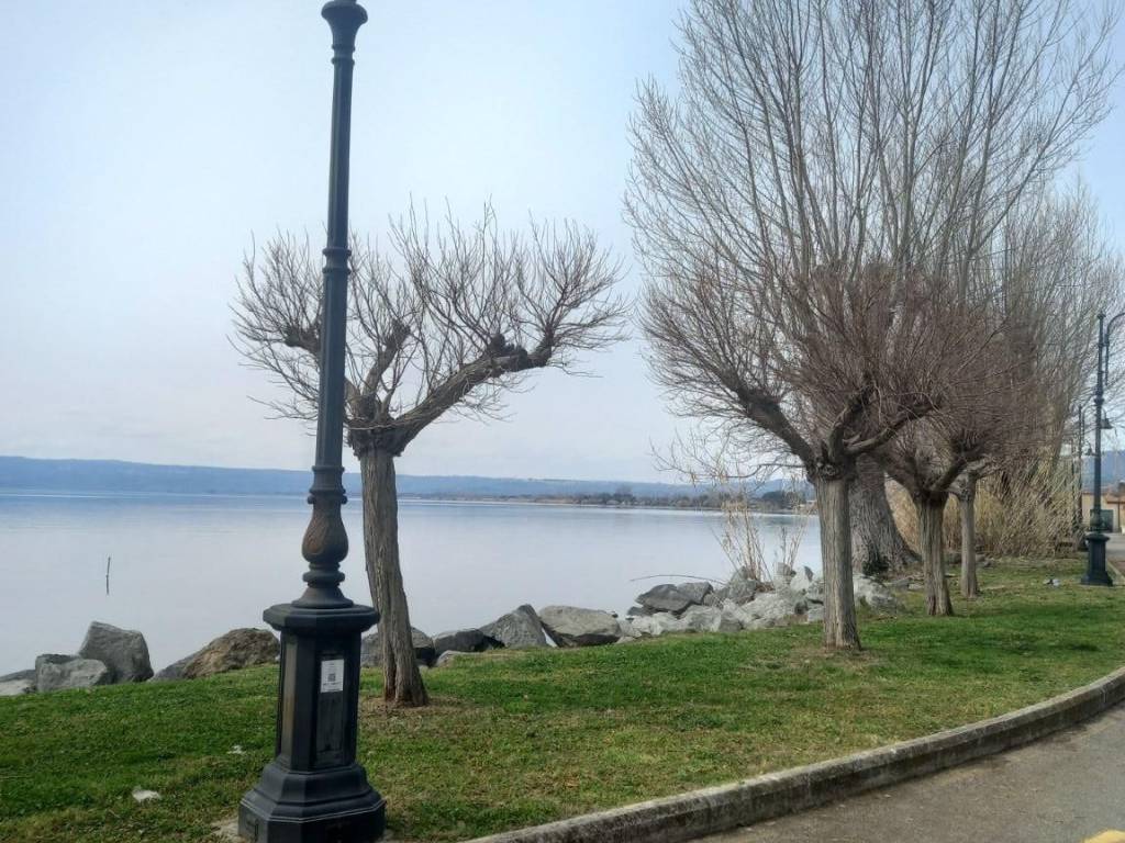 Terreno a Bolsena in Via Cassia - Foto 3
