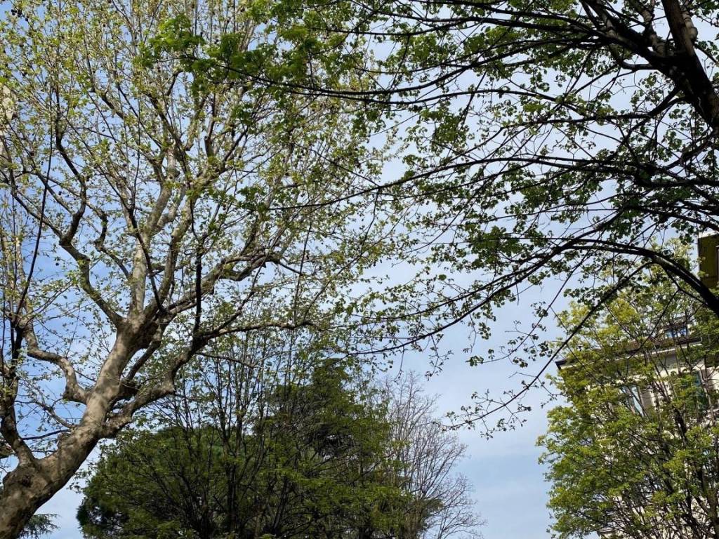 Appartamento a Como - Foto 3
