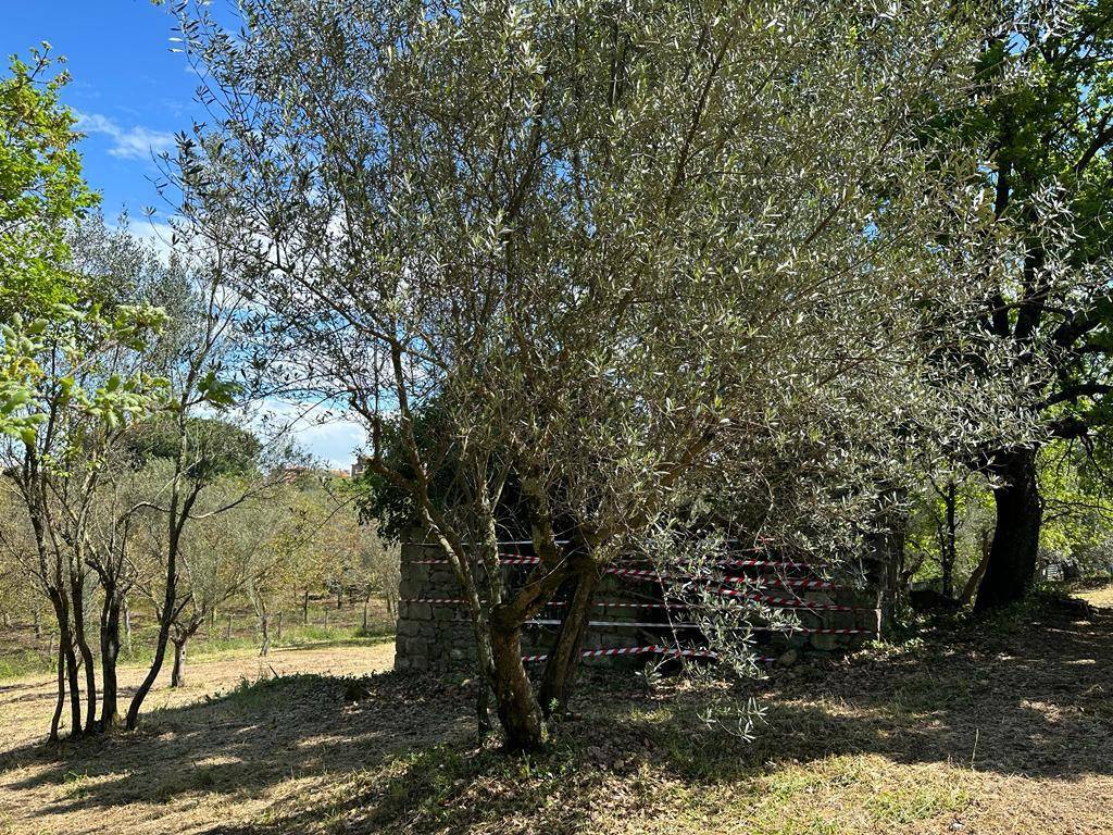 Terreno a Vetralla in Strada della Veronica - Foto 2