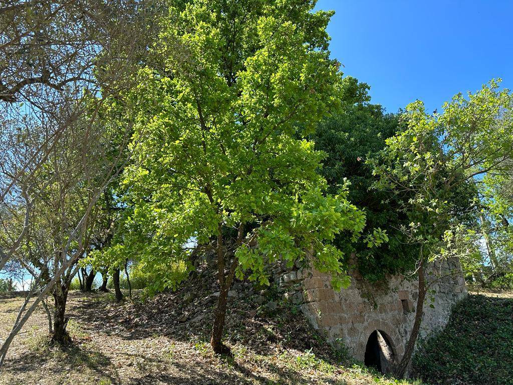 Terreno a Vetralla in Strada della Veronica - Foto 5