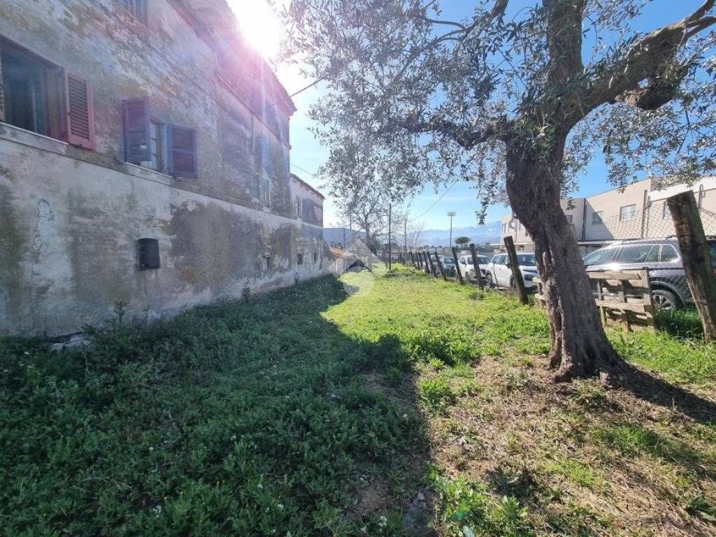 Rustico / casale a Notaresco in Contrada Sammaccio, 5 - Foto 5