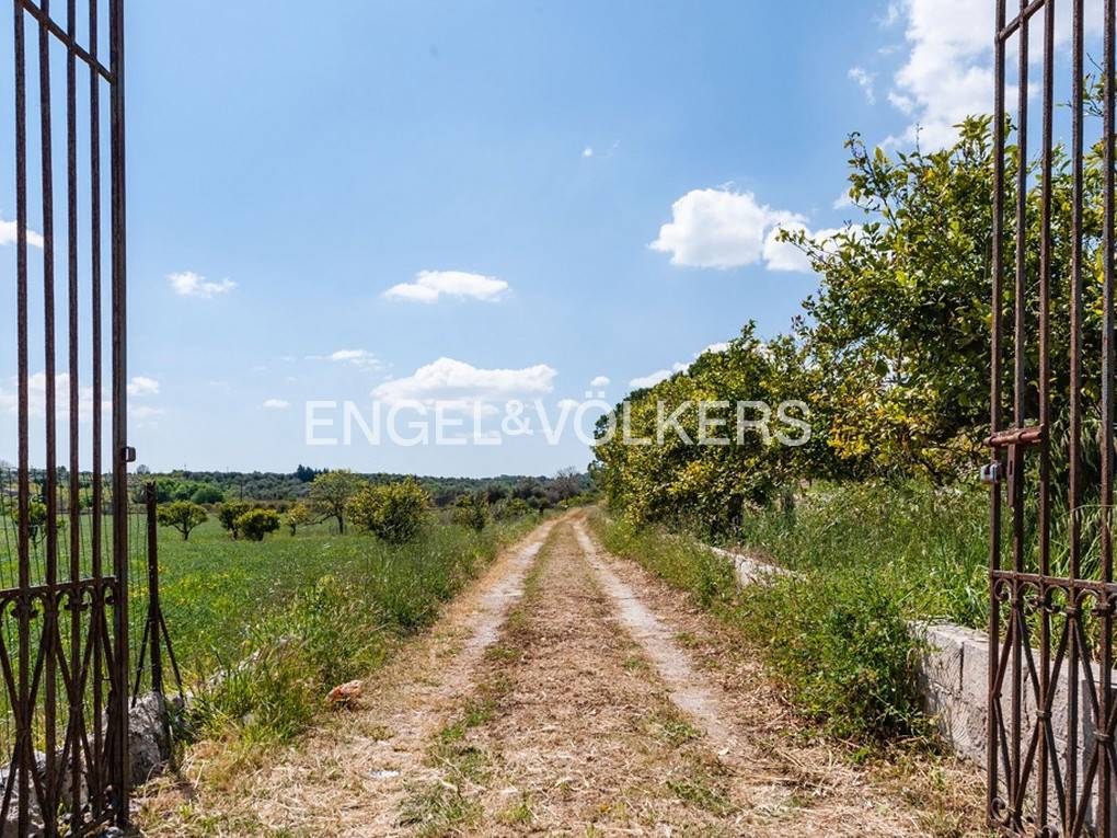 Terreno a Noto in SP19 - Foto 3