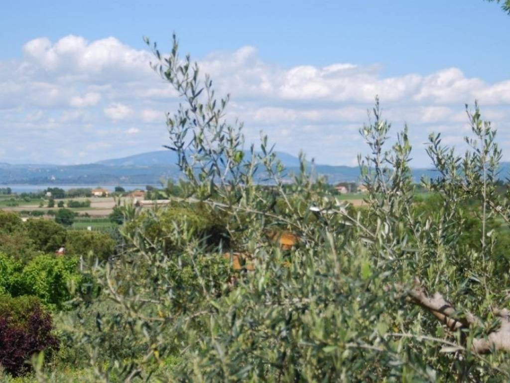 Villa a Castiglione del lago in Via Trasimeno - Foto 3