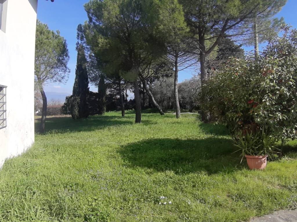 Rustico / casale a Carmignano in Via Macia - Foto 4