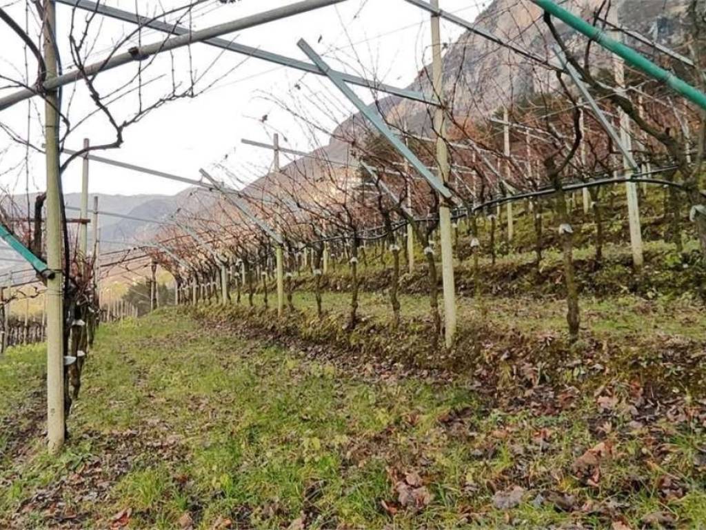 Terreno a Nogaredo in Via per Brancolino, 10 - Foto 2