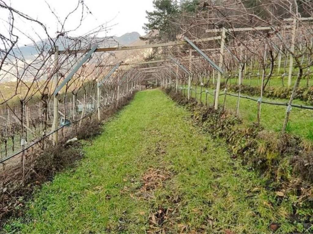 Terreno a Nogaredo in Via per Brancolino, 10 - Foto 4