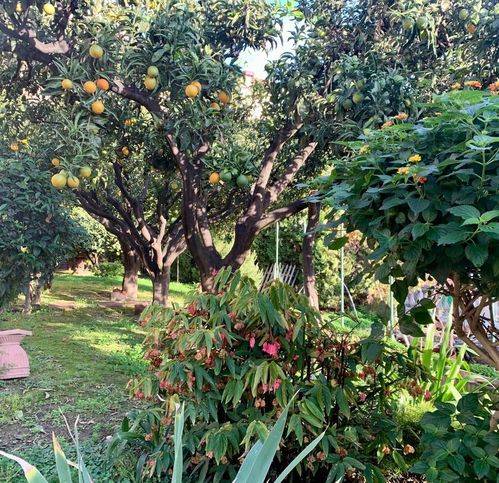 Villa a Sanremo in Salita Monte Marta - Foto 2
