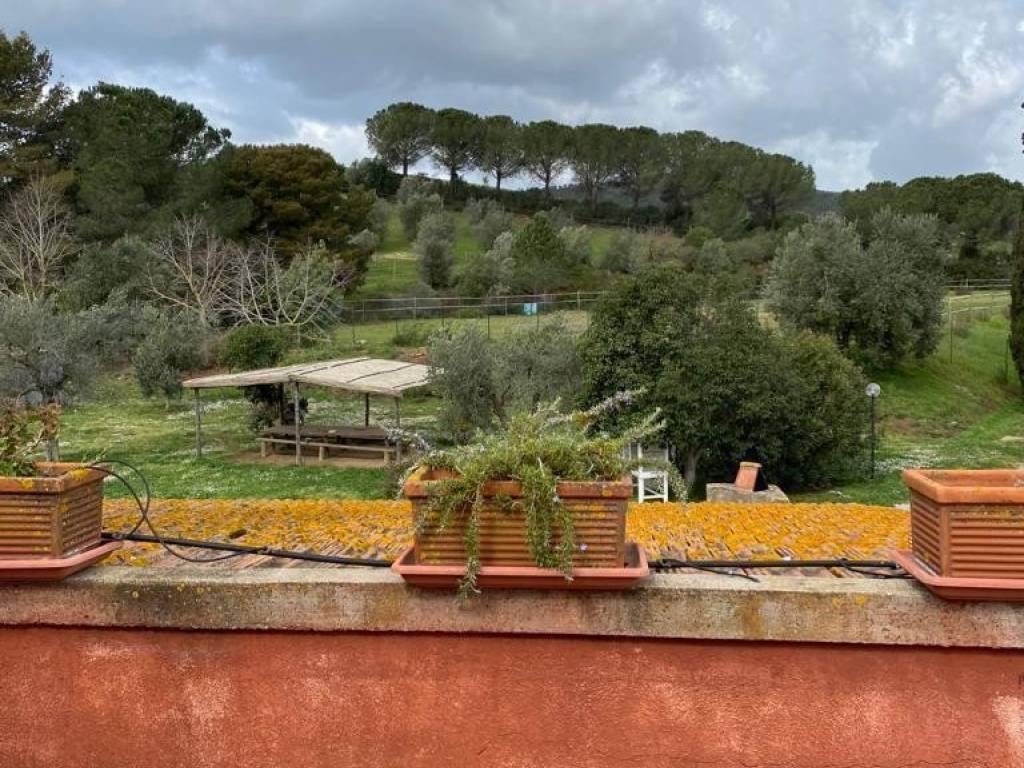 Rustico / casale a Capalbio in strada Valmarina - Foto 3
