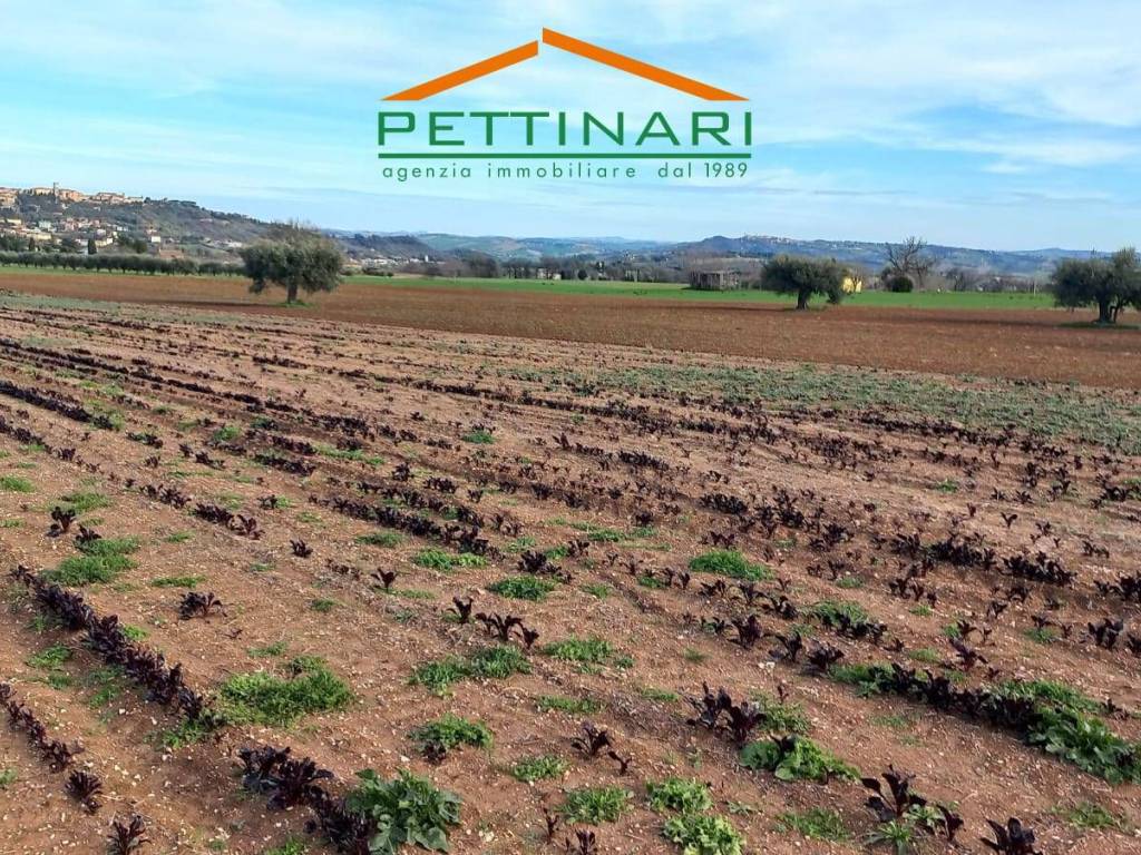 Terreno a Treia in Contrada San Carlo - Foto 2