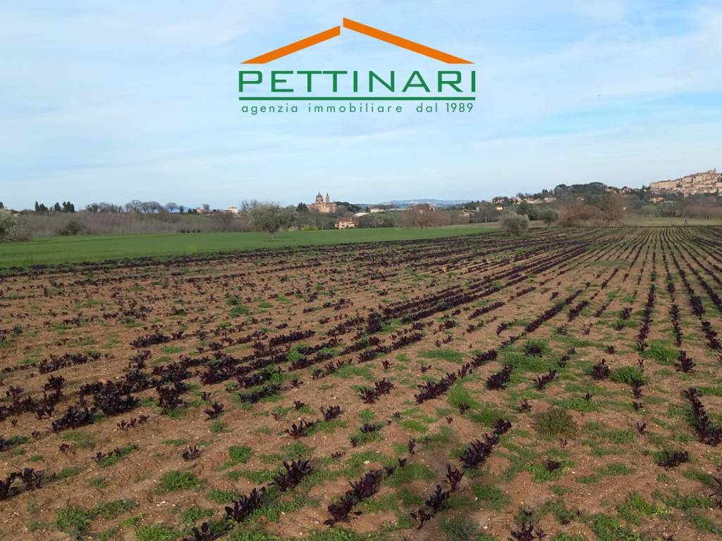 Terreno a Treia in Contrada San Carlo - Foto 3