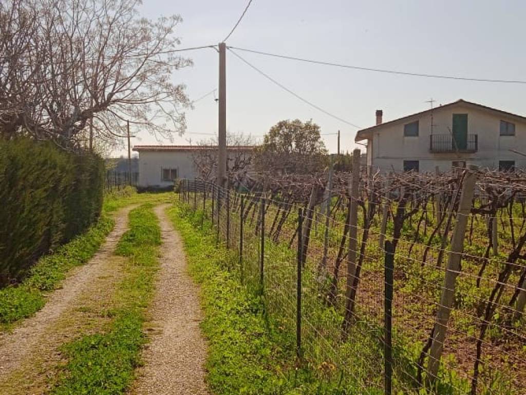 Villa a Ortona in Strada Rogatti - Foto 2