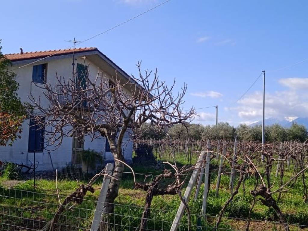 Villa a Ortona in Strada Rogatti - Foto 3