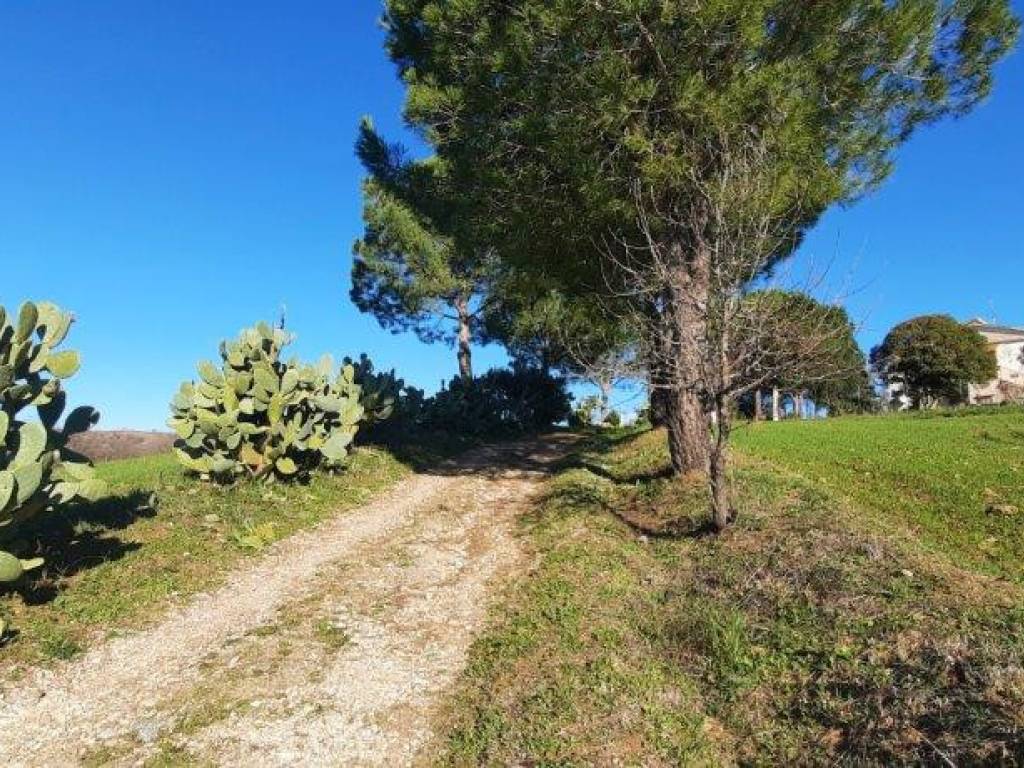 Rustico / casale a Manciano - Foto 4