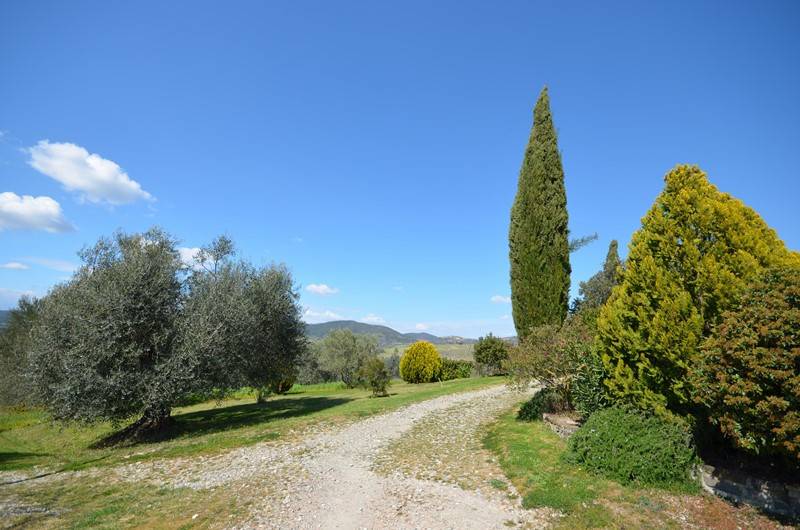 Rustico / casale a Castel del piano - Foto 3