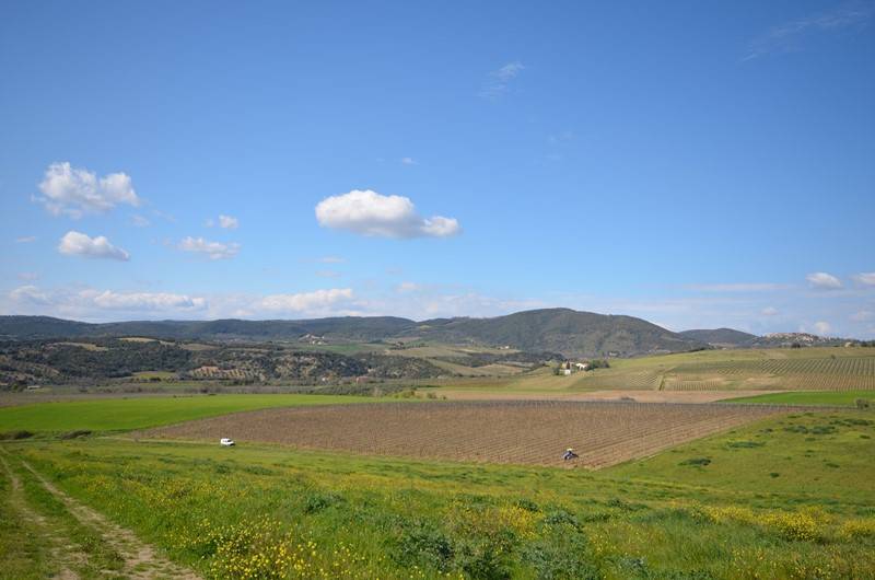 Rustico / casale a Castel del piano - Foto 5